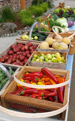 Nisqually Community Garden Produce