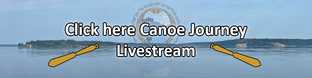 Livestream-Banner.jpg