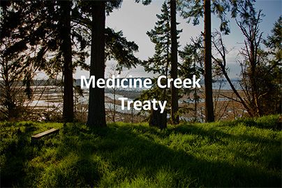 Medicine Creek Treaty