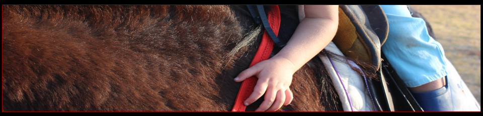 Equine_Assisted_Therapy_Learning_banner.jpg